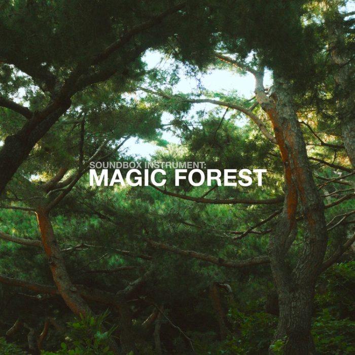 Taetro Magic Forest for Soundbox