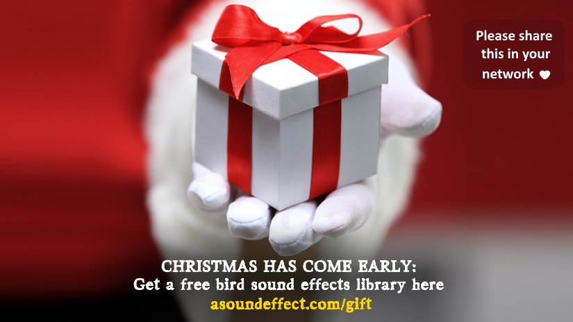 A Sound Effect gives away free bird sound library as an early Christmas present