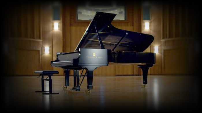VSL Concert D-274 Essentials
