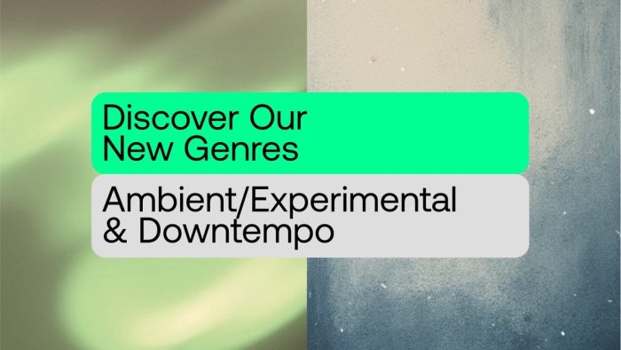 Beatport Ambient Experimental and Downtempo