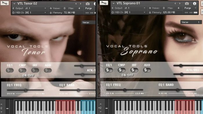 Bela D Media vocal libraries offer